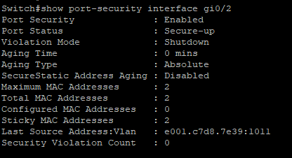 show port-security interface